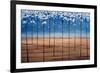 Spring Dream-Herb Dickinson-Framed Photographic Print