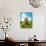 Spring Easter Meadow with Egg House-egal-Photographic Print displayed on a wall