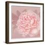 Spring Eden Peony 2-Lula Bijoux-Framed Premium Giclee Print