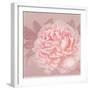 Spring Eden Peony 2-Lula Bijoux-Framed Premium Giclee Print