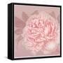 Spring Eden Peony 2-Lula Bijoux-Framed Stretched Canvas