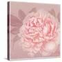 Spring Eden Peony 2-Lula Bijoux-Stretched Canvas