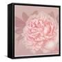 Spring Eden Peony 2-Lula Bijoux-Framed Stretched Canvas