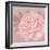 Spring Eden Peony 2-Lula Bijoux-Framed Art Print