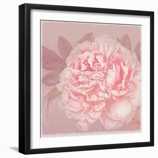 Spring Eden Peony 2-Lula Bijoux-Framed Art Print