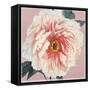 Spring Eden Peony-Lula Bijoux-Framed Stretched Canvas