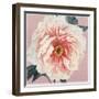 Spring Eden Peony-Lula Bijoux-Framed Art Print