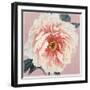 Spring Eden Peony-Lula Bijoux-Framed Art Print