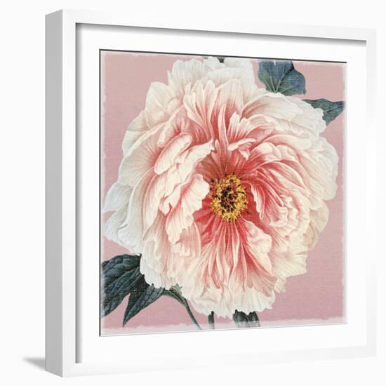 Spring Eden Peony-Lula Bijoux-Framed Art Print