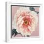 Spring Eden Peony-Lula Bijoux-Framed Art Print