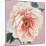 Spring Eden Peony-Lula Bijoux-Mounted Art Print