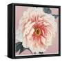 Spring Eden Peony-Lula Bijoux-Framed Stretched Canvas