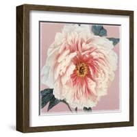 Spring Eden Peony-Lula Bijoux-Framed Art Print