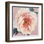 Spring Eden Peony-Lula Bijoux-Framed Art Print