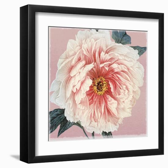 Spring Eden Peony-Lula Bijoux-Framed Art Print