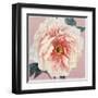 Spring Eden Peony-Lula Bijoux-Framed Art Print