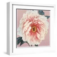 Spring Eden Peony-Lula Bijoux-Framed Art Print