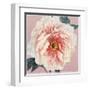 Spring Eden Peony-Lula Bijoux-Framed Art Print