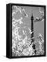 Spring Eiffel BW-Tracey Telik-Framed Stretched Canvas