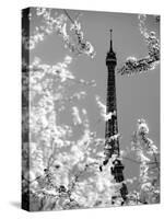 Spring Eiffel BW-Tracey Telik-Stretched Canvas