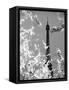 Spring Eiffel BW-Tracey Telik-Framed Stretched Canvas