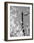 Spring Eiffel BW-Tracey Telik-Framed Photographic Print