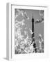 Spring Eiffel BW-Tracey Telik-Framed Photographic Print