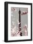 Spring Eiffel Pastel-Tracey Telek-Framed Photographic Print