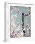 Spring Eiffel Pastel-Tracey Telik-Framed Photographic Print