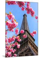Spring Eiffel Tower Paris-null-Mounted Premium Giclee Print