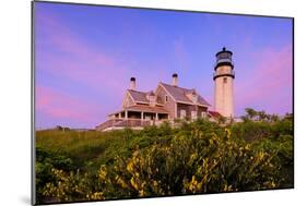 Spring Evening-Michael Blanchette Photography-Mounted Photographic Print