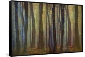 Spring Evening-Jacob Berghoef-Framed Stretched Canvas