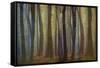 Spring Evening-Jacob Berghoef-Framed Stretched Canvas