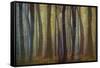 Spring Evening-Jacob Berghoef-Framed Stretched Canvas