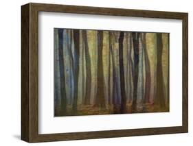 Spring Evening-Jacob Berghoef-Framed Photographic Print