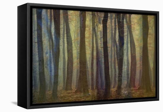 Spring Evening-Jacob Berghoef-Framed Stretched Canvas