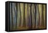 Spring Evening-Jacob Berghoef-Framed Stretched Canvas