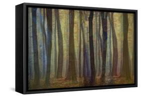 Spring Evening-Jacob Berghoef-Framed Stretched Canvas