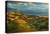 Spring Exodus-Mark Geistweite-Stretched Canvas