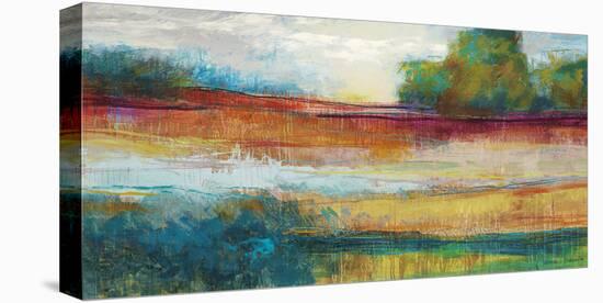 Spring Expanse 2-Ursula Brenner-Stretched Canvas