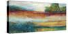 Spring Expanse 2-Ursula Brenner-Stretched Canvas