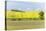 Spring Farm Fields-Rob Tilley-Stretched Canvas