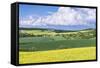 Spring Farm Fields-Rob Tilley-Framed Stretched Canvas