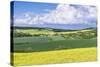 Spring Farm Fields-Rob Tilley-Stretched Canvas