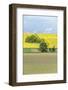 Spring Farm Fields-Rob Tilley-Framed Photographic Print