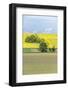 Spring Farm Fields-Rob Tilley-Framed Photographic Print