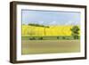 Spring Farm Fields-Rob Tilley-Framed Photographic Print