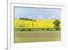 Spring Farm Fields-Rob Tilley-Framed Photographic Print