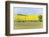 Spring Farm Fields-Rob Tilley-Framed Photographic Print