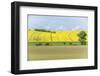 Spring Farm Fields-Rob Tilley-Framed Photographic Print